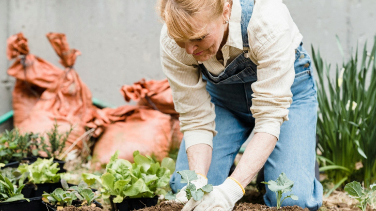 Gardening Tips for Seniors Lynchburg, VA | The Summit